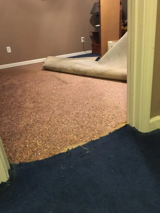 Carpet pad removal revealing water damage during Drying & Dehumidification in Heath